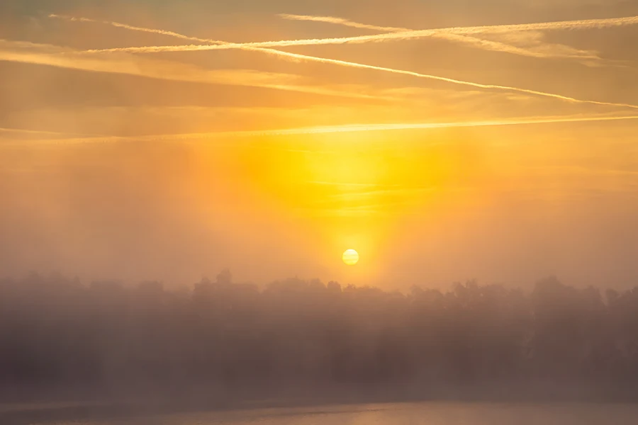 Słońce nad linią drzew i poranną mgłą